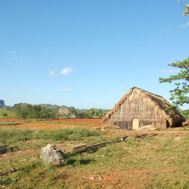 Viñales